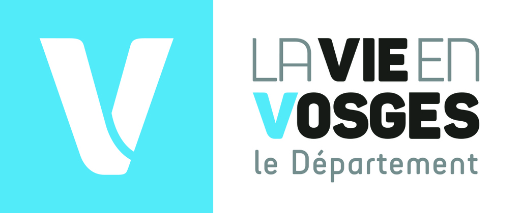 5a5e05d285871_LogoHCD88HD